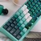 Dark Green Forest 94+114 PBT Dye-subbed PC Crystal Semitransparent Backlit Cool Keycaps Set Screen Printing for Cherry MX Keyboard